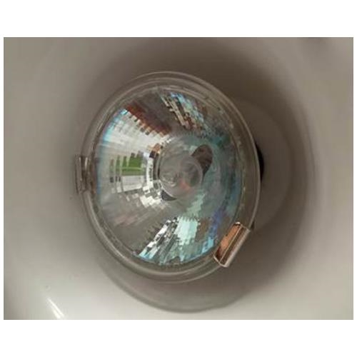 Halogen bulb for Simplex light 35W - spare